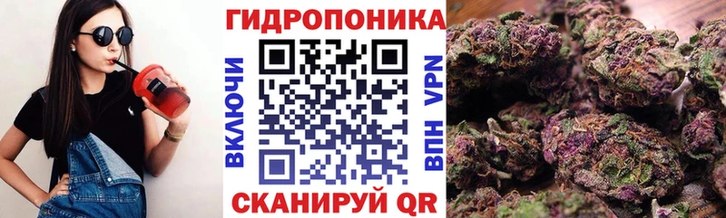 Купить наркотики Усть-Илимск kraken ТОР  Alpha-PVP  Cocaine  ГАШ  Меф мяу мяу  Канабис 