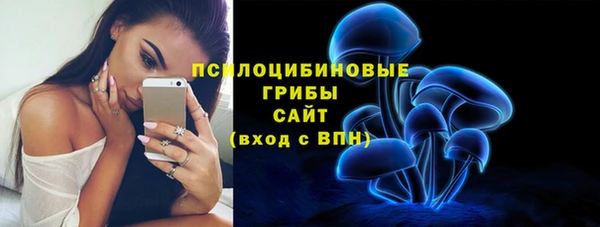ПСИЛОЦИБИНОВЫЕ ГРИБЫ Богородицк