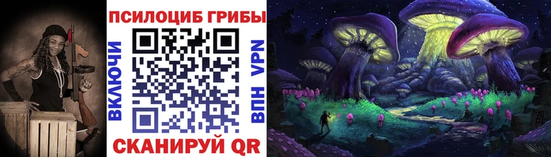 купить   Усть-Илимск  Псилоцибиновые грибы GOLDEN TEACHER 