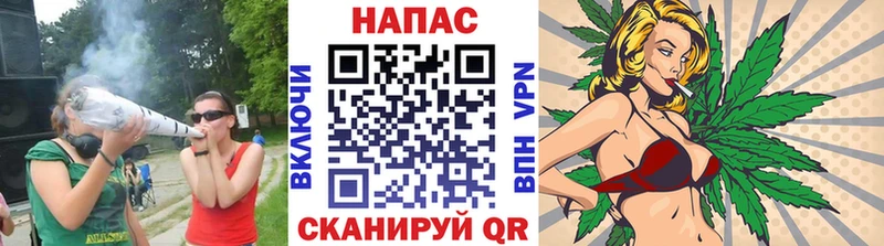 Бошки Шишки гибрид  где найти наркотики  Усть-Илимск 